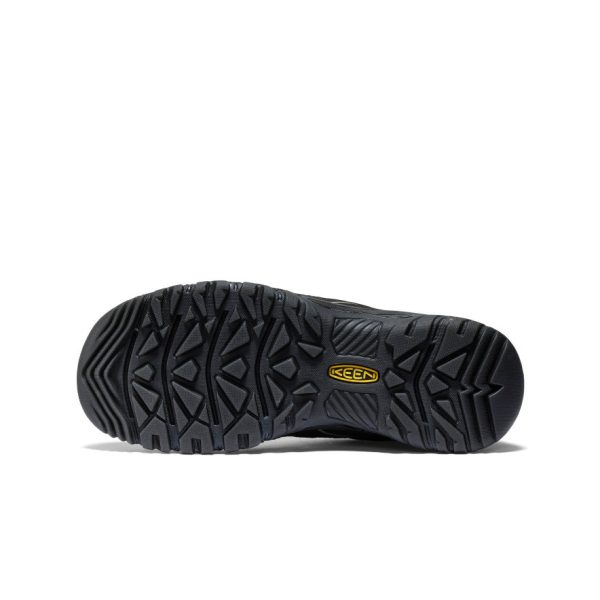 Men's Targhee IV Vented Hiking Shoe | Bison/Golden Yellow