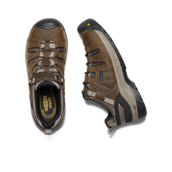 Men's Flint II Waterproof (Steel Toe) | Cascade Brown/Orion Blue