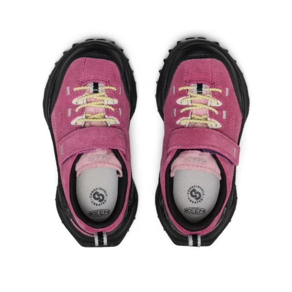 Little Kids' Jasper Zionic Sneaker | Violet Quartz Velour