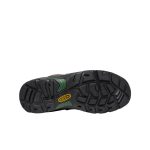 Men's Pittsburgh Energy 6 Waterproof Boot (Soft Toe) | Cascade Brown/Greener Pastures