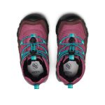 Little Kids' Hypowser Waterproof Chukka | Huckleberry/Violet Quartz
