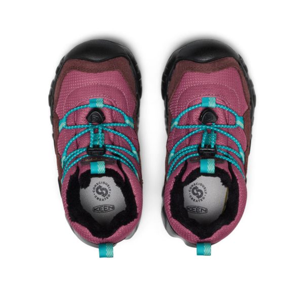 Little Kids' Hypowser Waterproof Chukka | Huckleberry/Violet Quartz