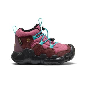 Little Kids' Hypowser Waterproof Chukka  |  Huckleberry/Violet Quartz