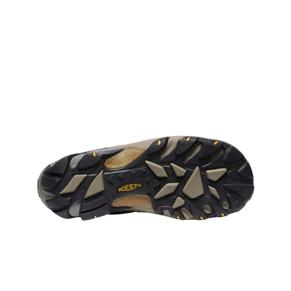 Men's Targhee II Waterproof Wide | Cascade Brown/Golden Yellow