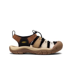 Men's Newport H2 Sandal | Gradient Bison
