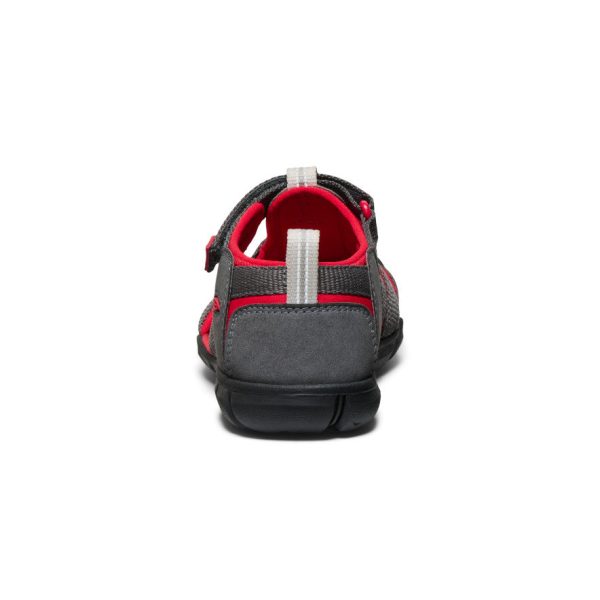 Big Kids' Seacamp II CNX | Magnet/Red Carpet