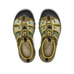 Men's Newport H2 Sandal | Gradient Dark Olive