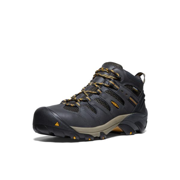 Men's Lansing Mid Waterproof (Steel Toe) | Raven/Tawny Olive