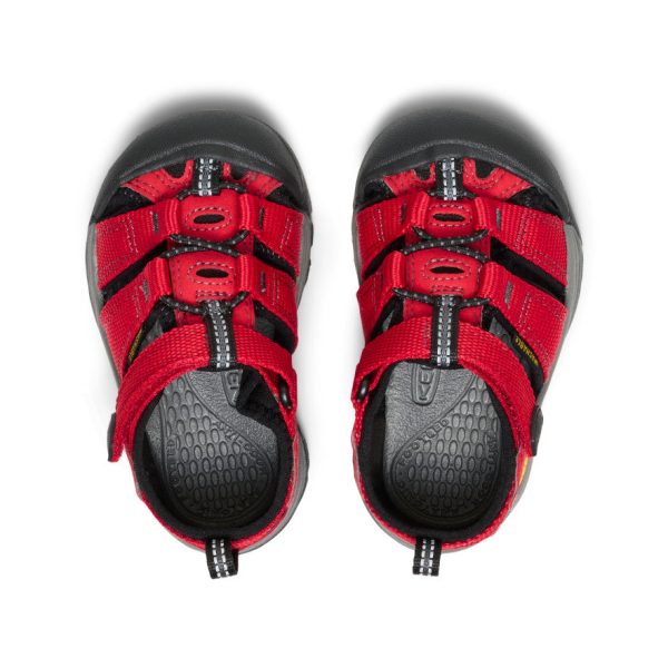 Toddlers' Newport H2 | Ribbon Red/Gargoyle