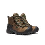 Men's Pittsburgh Energy 6 Waterproof Boot (Carbon Toe) | Cascade Brown/Greener Pastures