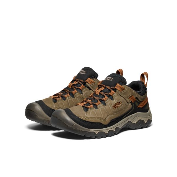 Men's Targhee IV Wide Waterproof Hiking Shoe | Sea Turtle/Roasted Pecan