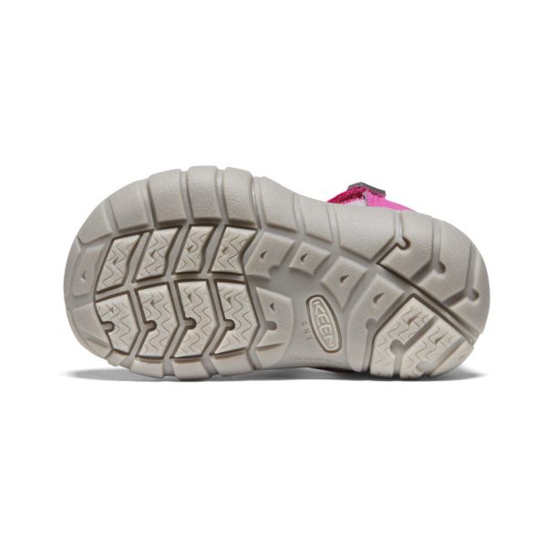 Toddlers' Seacamp II CNX | Very Berry/Dawn Pink