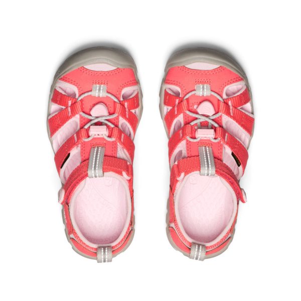 Little Kids' Seacamp II CNX | Dubarry/Giggle Pink