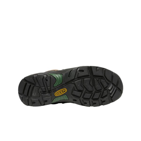 Men's Pittsburgh Energy 6 Waterproof Boot (Carbon Toe) | Cascade Brown/Greener Pastures