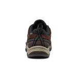 Men's Targhee IV Waterproof Hiking Shoe | Java/Bison
