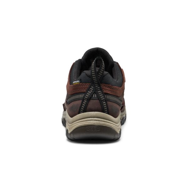 Men's Targhee IV Waterproof Hiking Shoe | Java/Bison