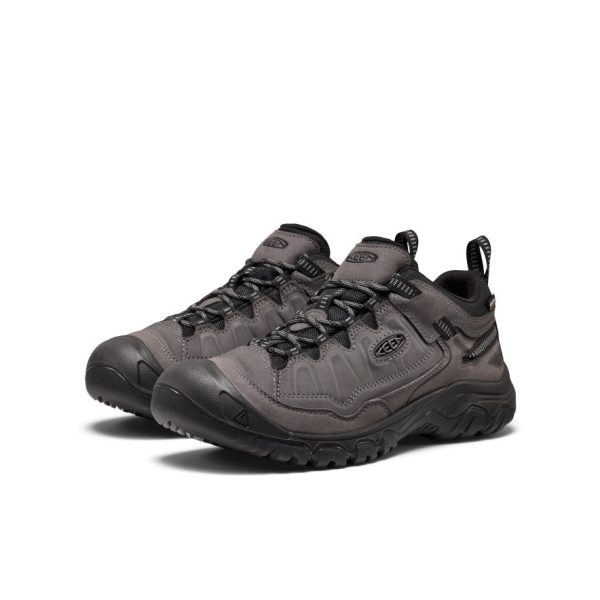 Men's Targhee IV Waterproof Hiking Shoe | Magnet/Black