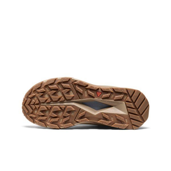 Women's Targhee Apex Waterproof Hiking Boot | Plaza Taupe/Skyway