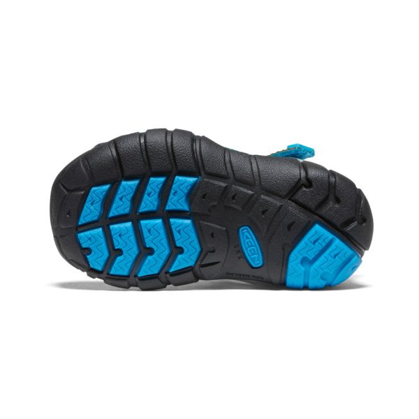 Toddlers' Seacamp II CNX | Vivid Blue/Original Tie Dye