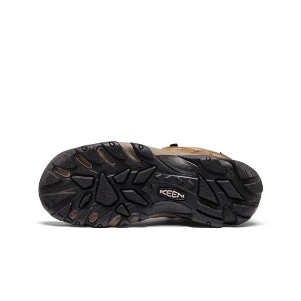 Men's Targhee II Mid Waterproof Hiking Boots | Black Olive/Chipmunk