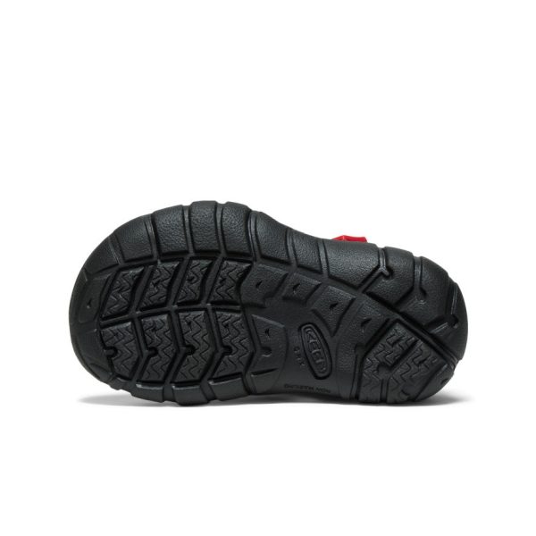 Toddlers' Seacamp II CNX | Magnet/Red Carpet