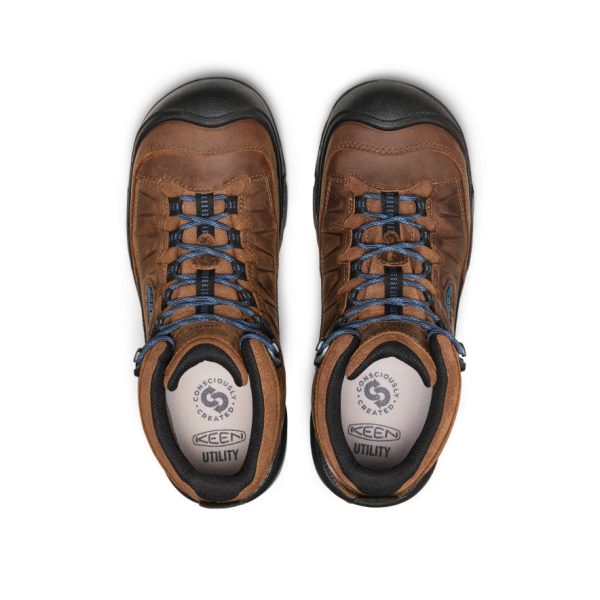 Men's Targhee IV LTR Waterproof Work Boot (Carbon Toe) | Bison/Black