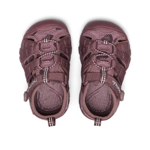 Toddlers' Seacamp II CNX namuk Sandal | Mauve