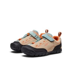 691004398750d70159e4c1aab8aa967de22bff08.jpg
