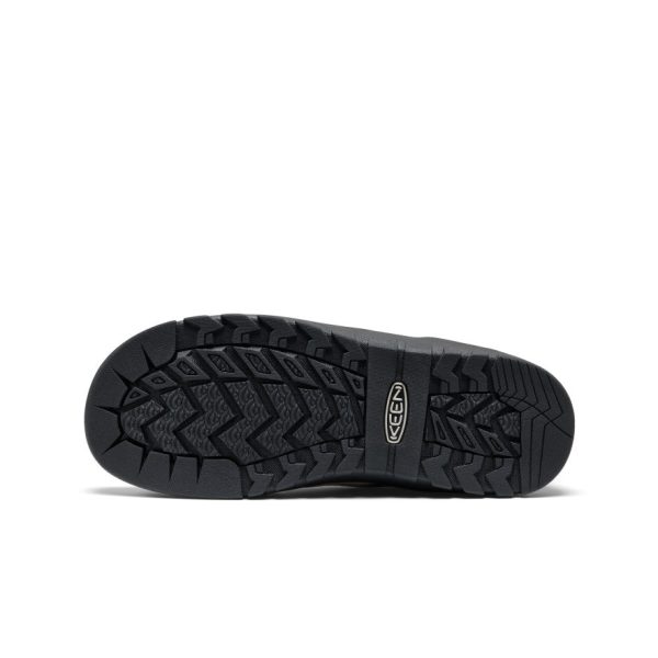 Women's Jasper Rocks Sneaker | Safari/Purple Haze