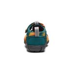 Little Kids' Seacamp II CNX | Ombre Mediterranea