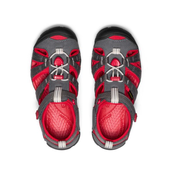 Big Kids' Seacamp II CNX | Magnet/Red Carpet