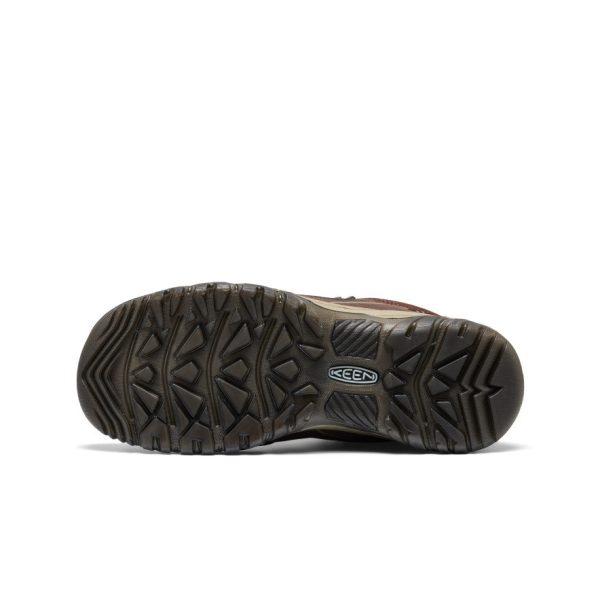 Men's Targhee IV Waterproof Hiking Boot | Java/Brindle