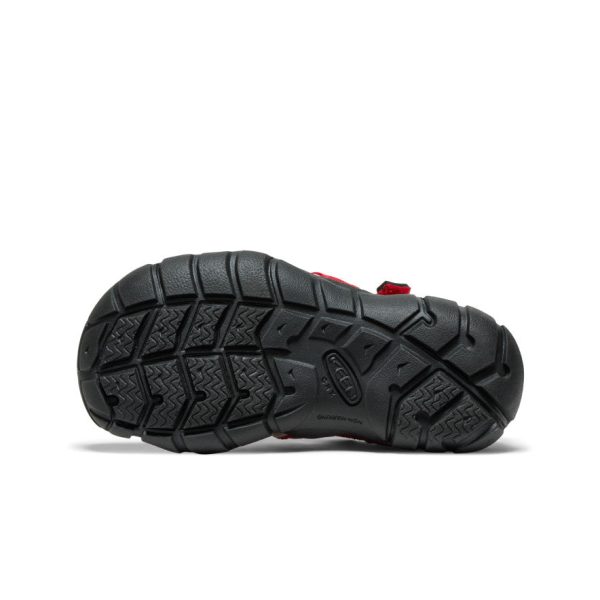 Little Kids' Seacamp II CNX  |  Ribbon Red/Alloy