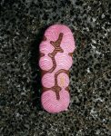 Women's Hyperport H2 Sandal x Hiking Patrol | Okenia Pink