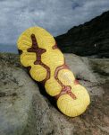 Women's Hyperport H2 Sandal x Hiking Patrol  |  Algae Green