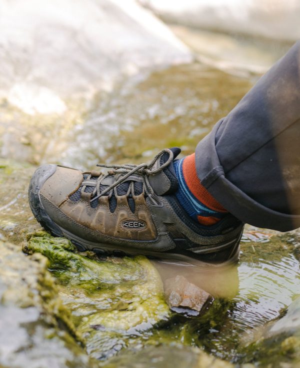 Men's Targhee III Waterproof | Black Olive/Golden Brown