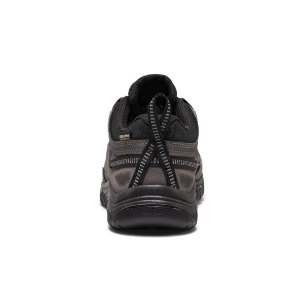 Men's Targhee IV Wide Waterproof Hiking Shoe | Magnet/Black