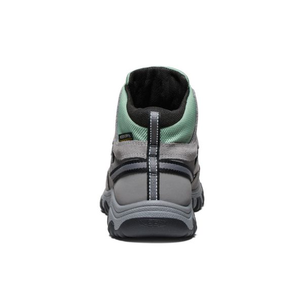 Big Kids' Targhee IV Waterproof Hiking Boot | Alloy/Granite Green