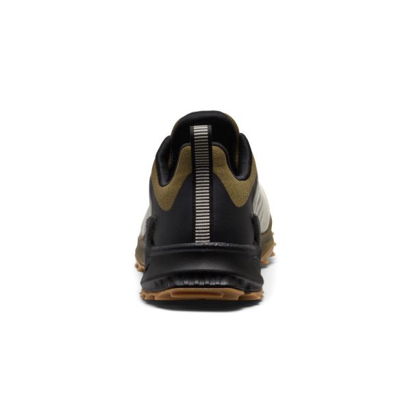 Men's Zionic NXT Waterproof Hiking Shoe | Abbey Stone/Dark Olive