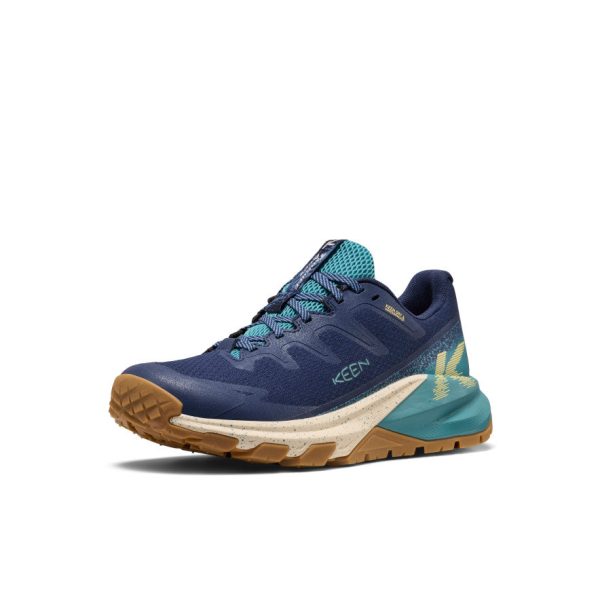 Women's Targhee Apex Waterproof Hiking Shoe | Naval Academy/Brittany Blue