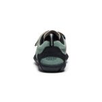 Little Kids' Jasper II | Lily Pad/Birch