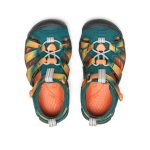 Little Kids' Seacamp II CNX | Ombre Mediterranea