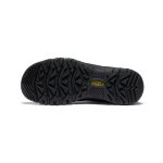 Men's Targhee IV Wide Waterproof Hiking Boot | Bison/Black