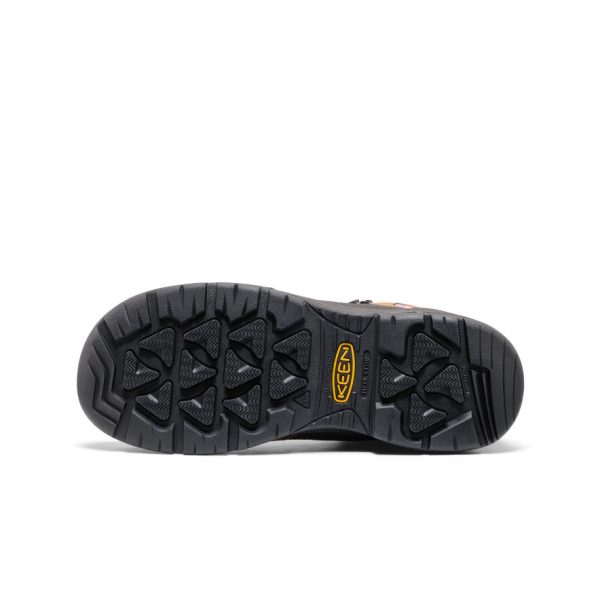 Men's Targhee IV LTR Waterproof Work Boot (Carbon Toe) | Bison/Black