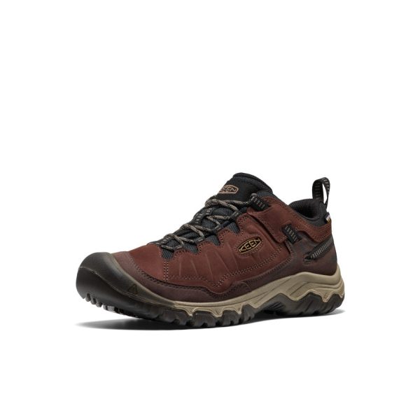 Men's Targhee IV Waterproof Hiking Shoe | Java/Bison
