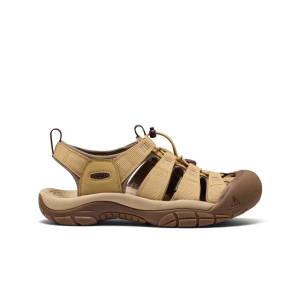 Men's Newport H2 Sandal | Mesa Glow