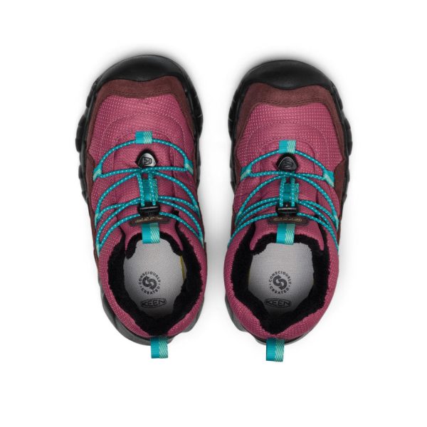 Big Kids' Hypowser Waterproof Chukka | Huckleberry/Violet Quartz