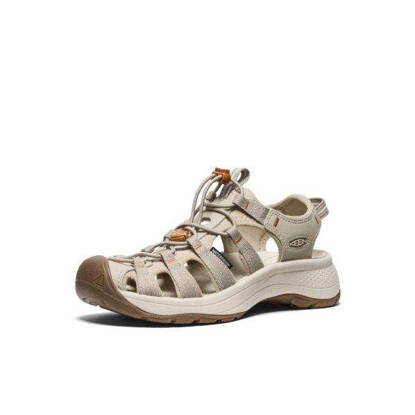 Women's Astoria West Sandal | Plaza Taupe/Roasted Pecan
