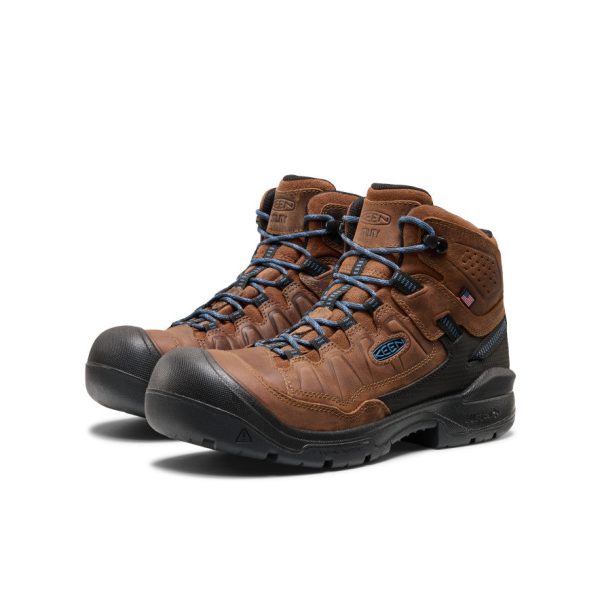 Men's Targhee IV LTR Waterproof Work Boot (Carbon Toe) | Bison/Black