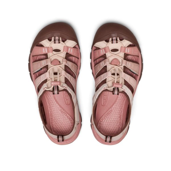 Women's Newport H2 | Gradient Cameo Rose